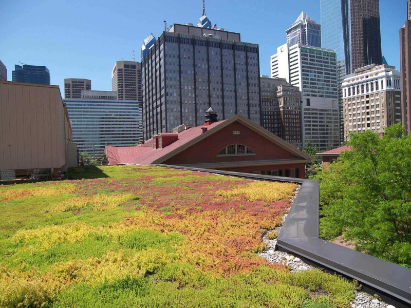 paysagiste-LA CELLE-min_green-roof-portfolio-4